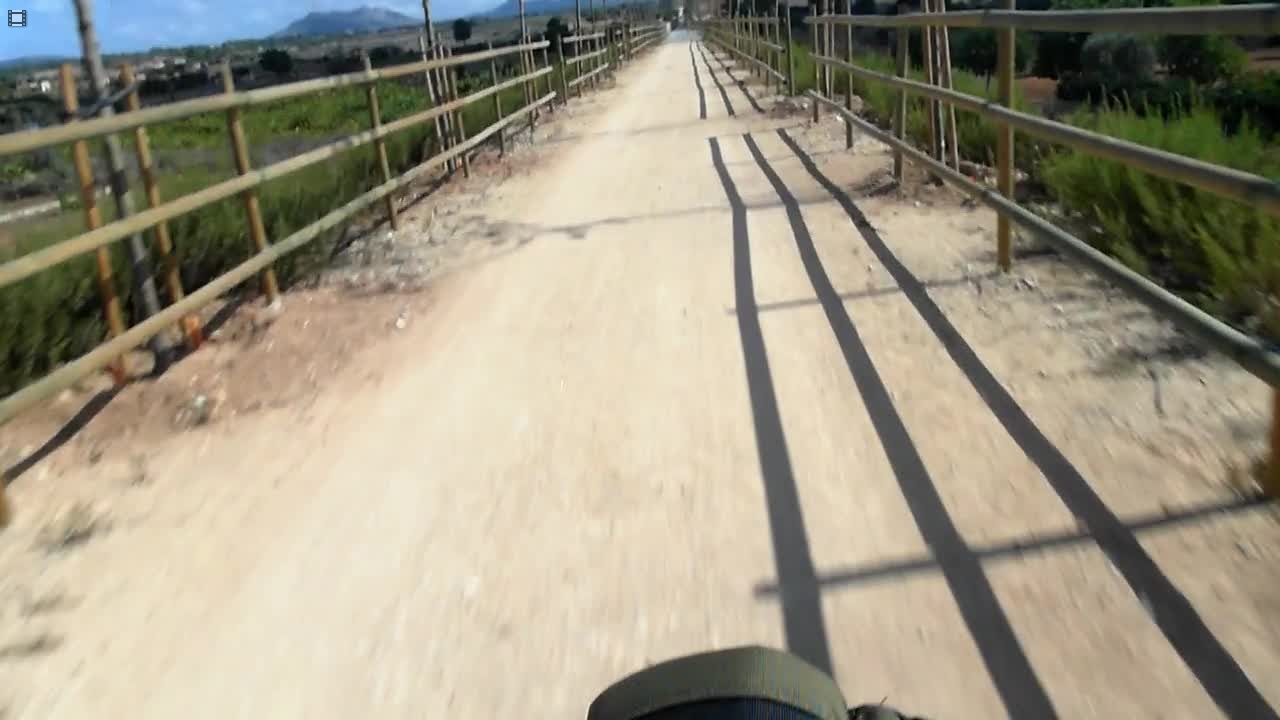 SAM_3665  Auf dem Radweg (Damm)